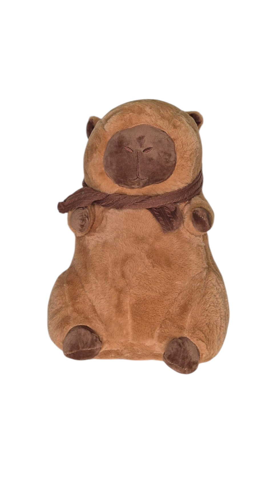 Peluche de Carpincho con Manta