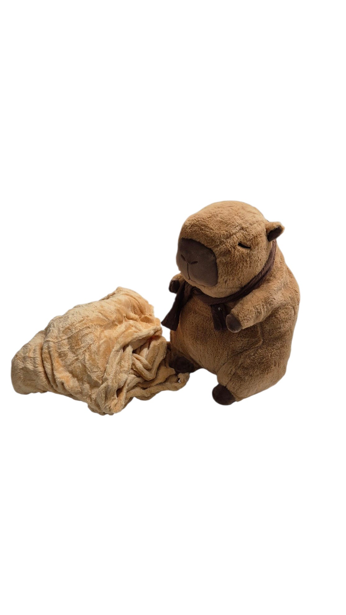 Peluche de Carpincho con Manta